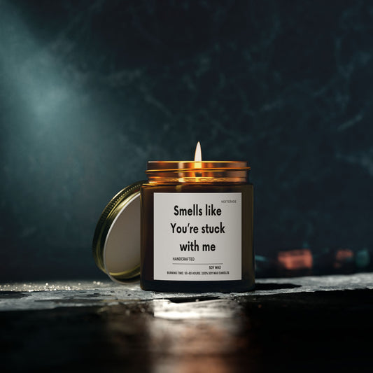 Funny Scented Candles, Gift For Her, Cozy Home Decor, Gifts for Her, Romantic Vibes, Self-Care, Home Fragrance