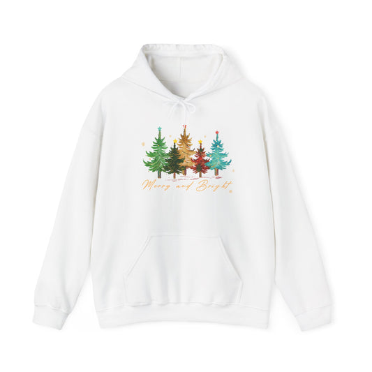 Festive Christmas Sweatshirt Hoodie, Cozy Holiday Hoodie for Winter Celebrations, Christmas Gift, Stylish Pullover, Warm & Comfy Clothing