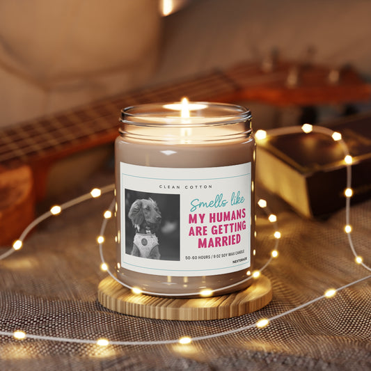 Soy Candle, Wedding Celebration Scented Candle with Clean Cotton Fragrance, Dog Lover Gift, Home Decor, Engagement Party Favor, White Lid