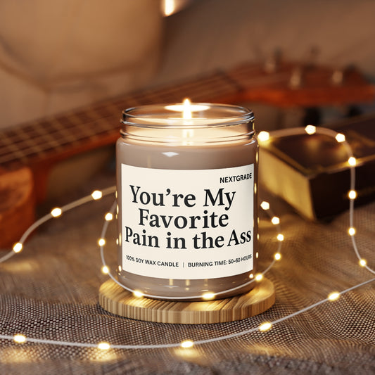 Funny Scented Candles, Gift For Partner, You're My Favorite Pain, Gift for Friends, Funny Home Decor, Soy Wax Candle