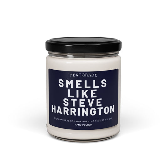 Smells Like Steve Harrington Scented Candle - Soy Wax Candle - Gift for Her, Girlfriend, Prayer Candle, Pop Culture