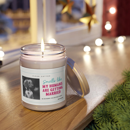 Soy Candle, Wedding Celebration Scented Candle with Clean Cotton Fragrance, Dog Lover Gift, Home Decor, Engagement Party Favor, White Lid