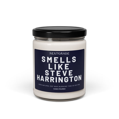 Smells Like Steve Harrington Scented Candle - Soy Wax Candle - Gift for Her, Girlfriend, Prayer Candle, Pop Culture