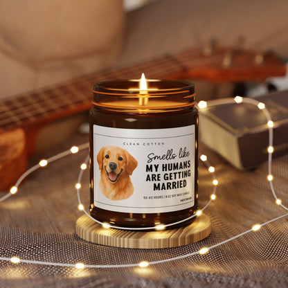 Smells Like My Humans Are Getting Married Candle, Funny Dog Wedding Gift, Engagement Gift for Couples | 9oz Soy Amber Jar Candle