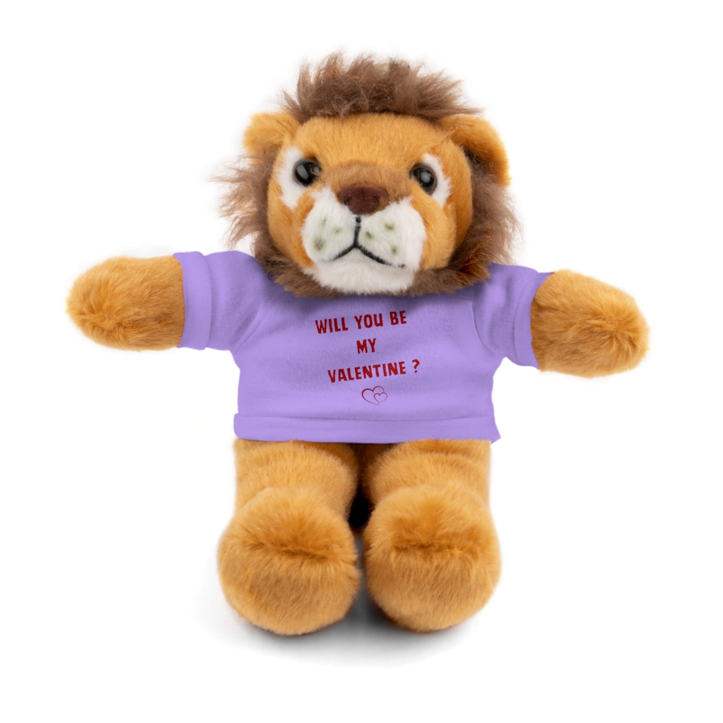 Will You Be My Valentine ? Teddy Bear, Plush Animal with T-Shirt, Cute Valentine's Day Gift, Stuffed Bear for Kids or Love
