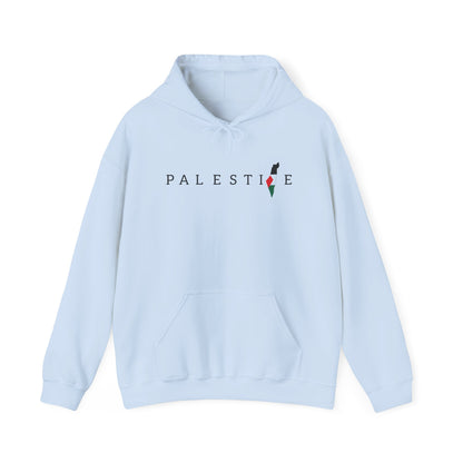 Free Palestine Heavy Blend Sweatshirt Hoodie , Warm Apparel, Statement Clothing, Gift for Activists, Stand With Palestine, Gaza College