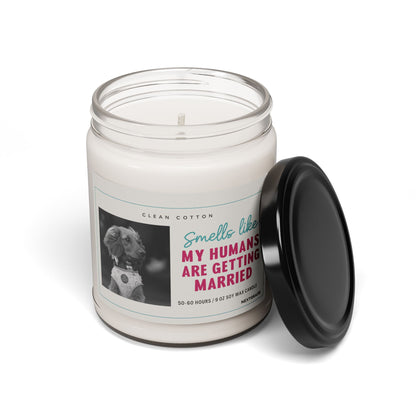 Scented Candle, Wedding Favor, Pet Lover Gift, Home Decor, Aromatherapy Gift, Celebratory Fragrance, Engagement Present, Bridal Shower