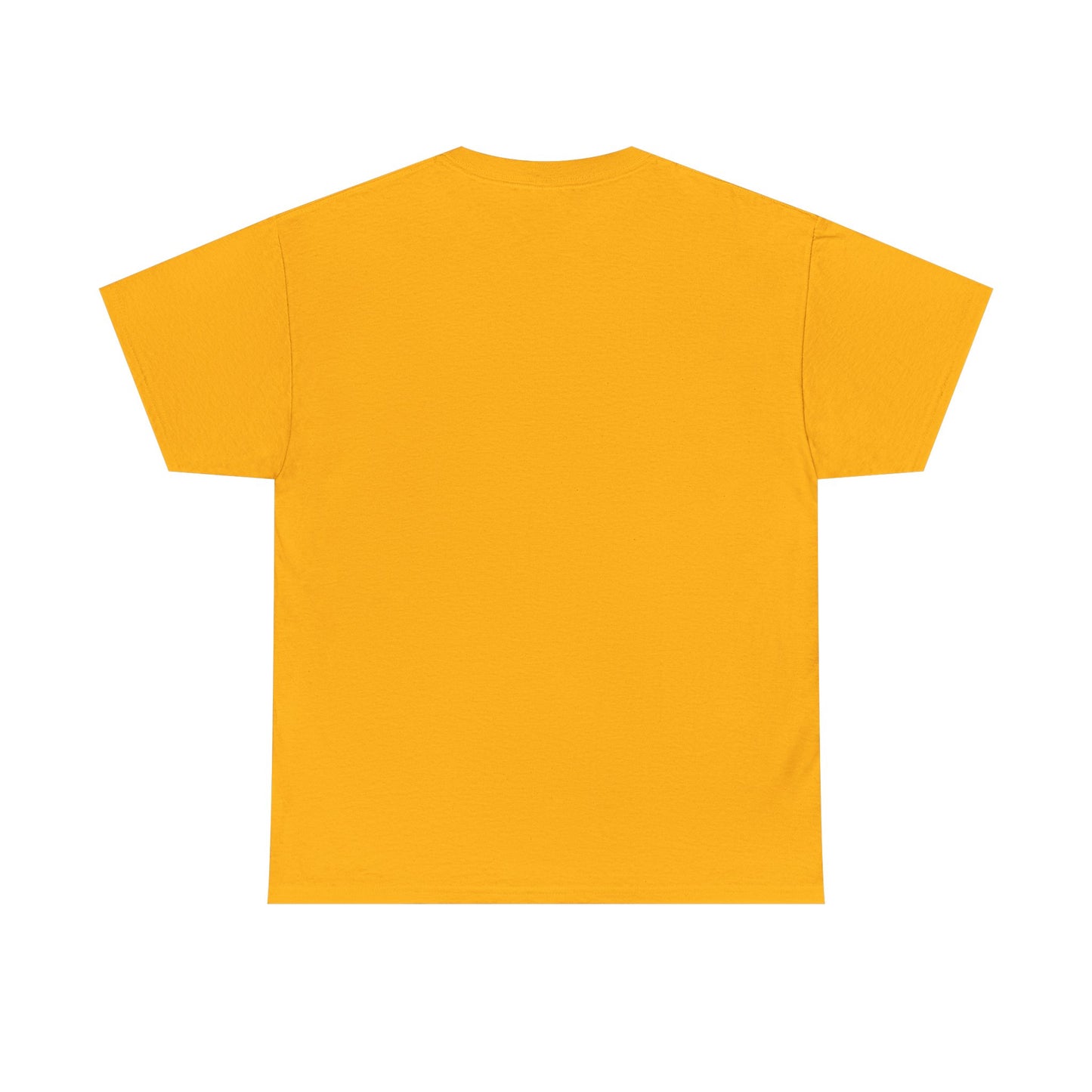 Plasticine Action Unisex Heavy Cotton Tee, Save Gaza, Free Palestine, Graphic Tee, Unique Statement Tee