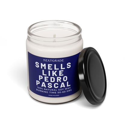 Smells Like Pedro Pascal Candle - Scented Candle - Celebrity Prayer Candle, Pedro Worship Candle, Gift for Her