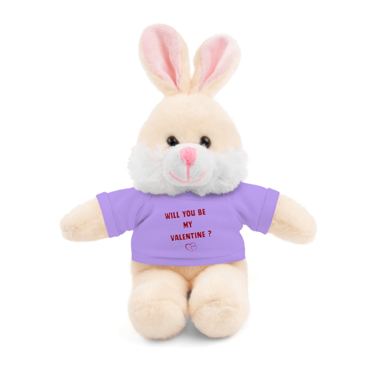 Will You Be My Valentine ? Teddy Bear, Plush Animal with T-Shirt, Cute Valentine's Day Gift, Stuffed Bear for Kids or Love