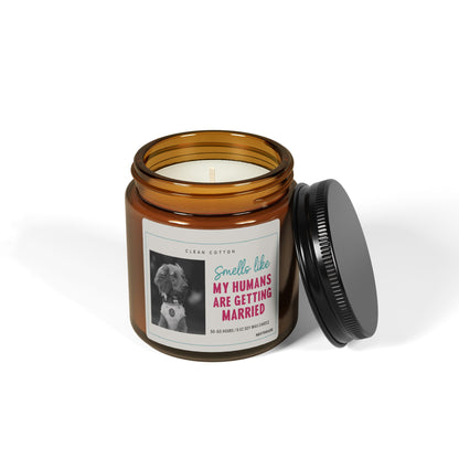 Soy Candle, Smells Like My Humans Are Getting Married | Wedding Favor, Pet Owner Gift, Home Fragrance, Celebration Decor, Aromatherapy