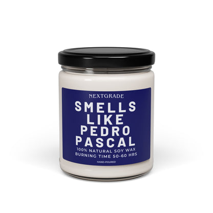 Smells Like Pedro Pascal Candle - Scented Candle - Celebrity Prayer Candle, Pedro Worship Candle, Gift for Her