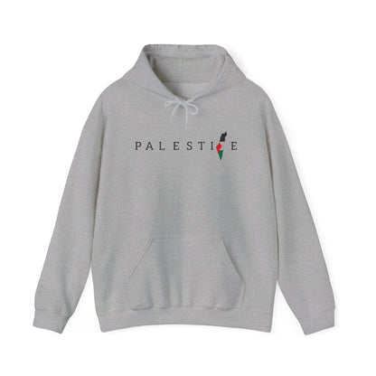 Free Palestine Heavy Blend Sweatshirt Hoodie , Warm Apparel, Statement Clothing, Gift for Activists, Stand With Palestine, Gaza College