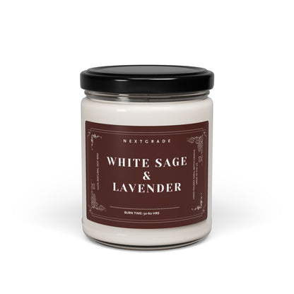 Scented Candles for Every Mood Sea Salt + Orchid, Lavender, Apple Harvest, Cinnamon Vanilla, Christmas Warmth, Coconut Cream