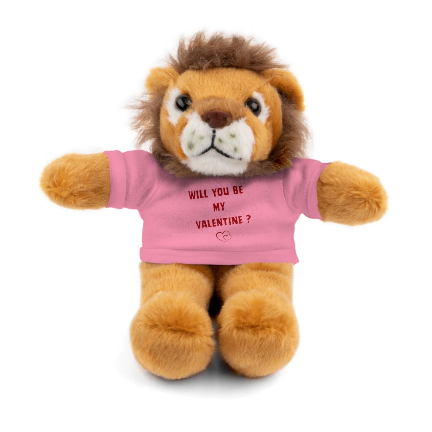 Will You Be My Valentine ? Teddy Bear, Plush Animal with T-Shirt, Cute Valentine's Day Gift, Stuffed Bear for Kids or Love
