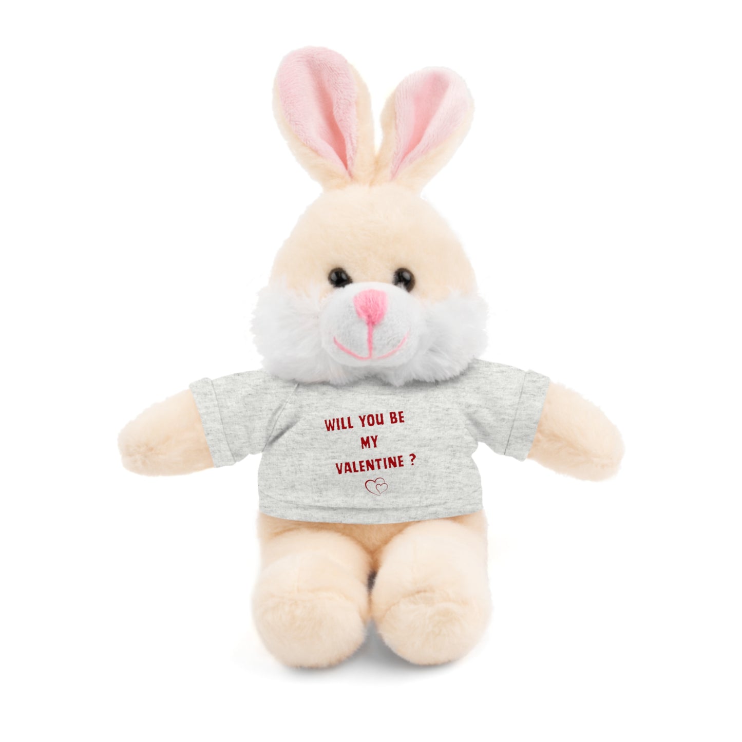 Will You Be My Valentine ? Teddy Bear, Plush Animal with T-Shirt, Cute Valentine's Day Gift, Stuffed Bear for Kids or Love