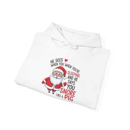 Funny Santa Hoodie He Sees When You are Sleeping and Says You Snore Like a Pig | Christmas Humor Hoodie | Cozy Unisex Holiday Sweatshirt