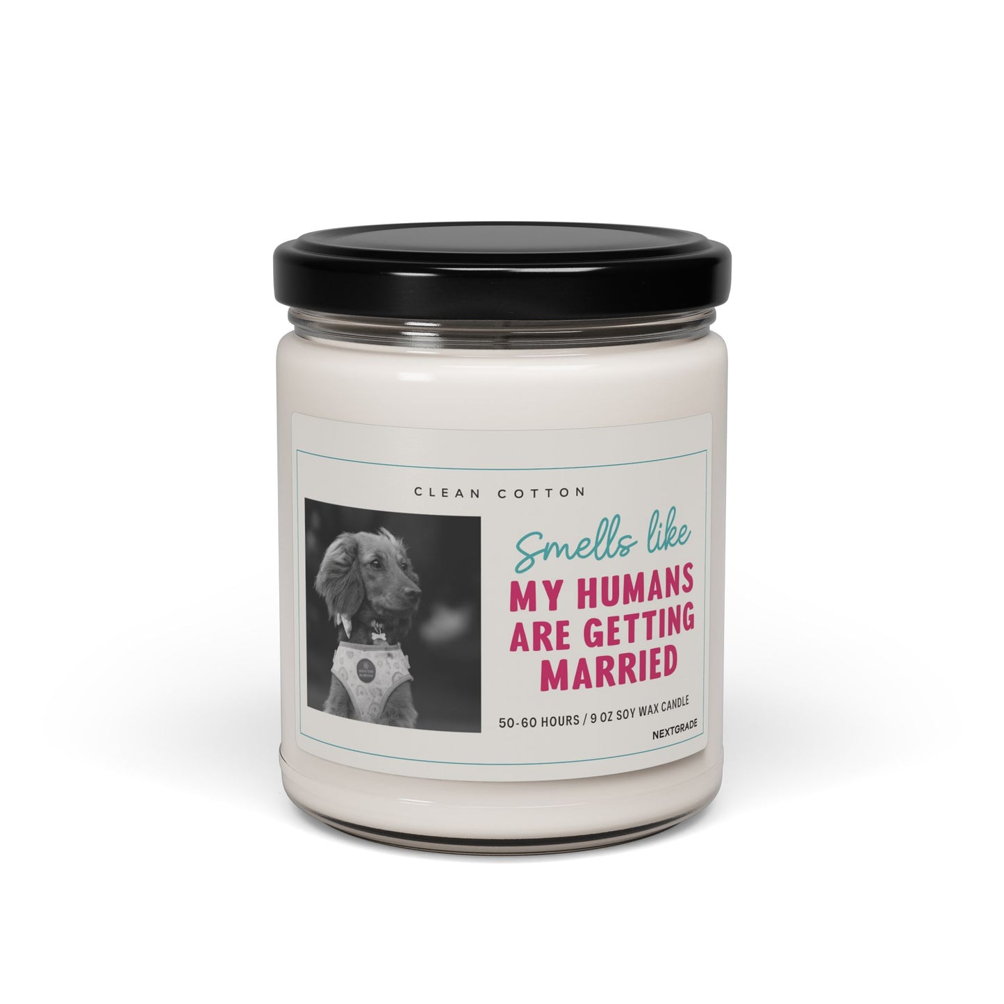 Scented Candle, Wedding Favor, Pet Lover Gift, Home Decor, Aromatherapy Gift, Celebratory Fragrance, Engagement Present, Bridal Shower