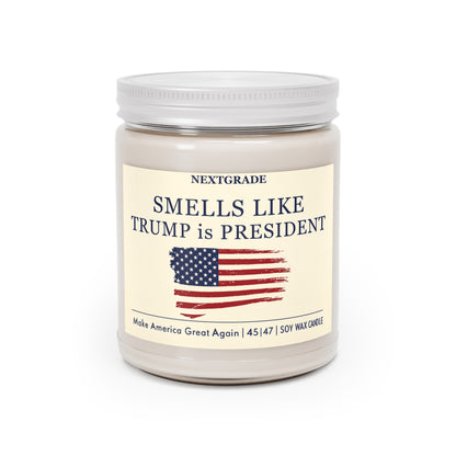 President Trump 2024 Gifts, Smells Like Trump Is President, President Trump Candle, Trump Christmas Gifts, Smells Like Candle, Trump Merch
