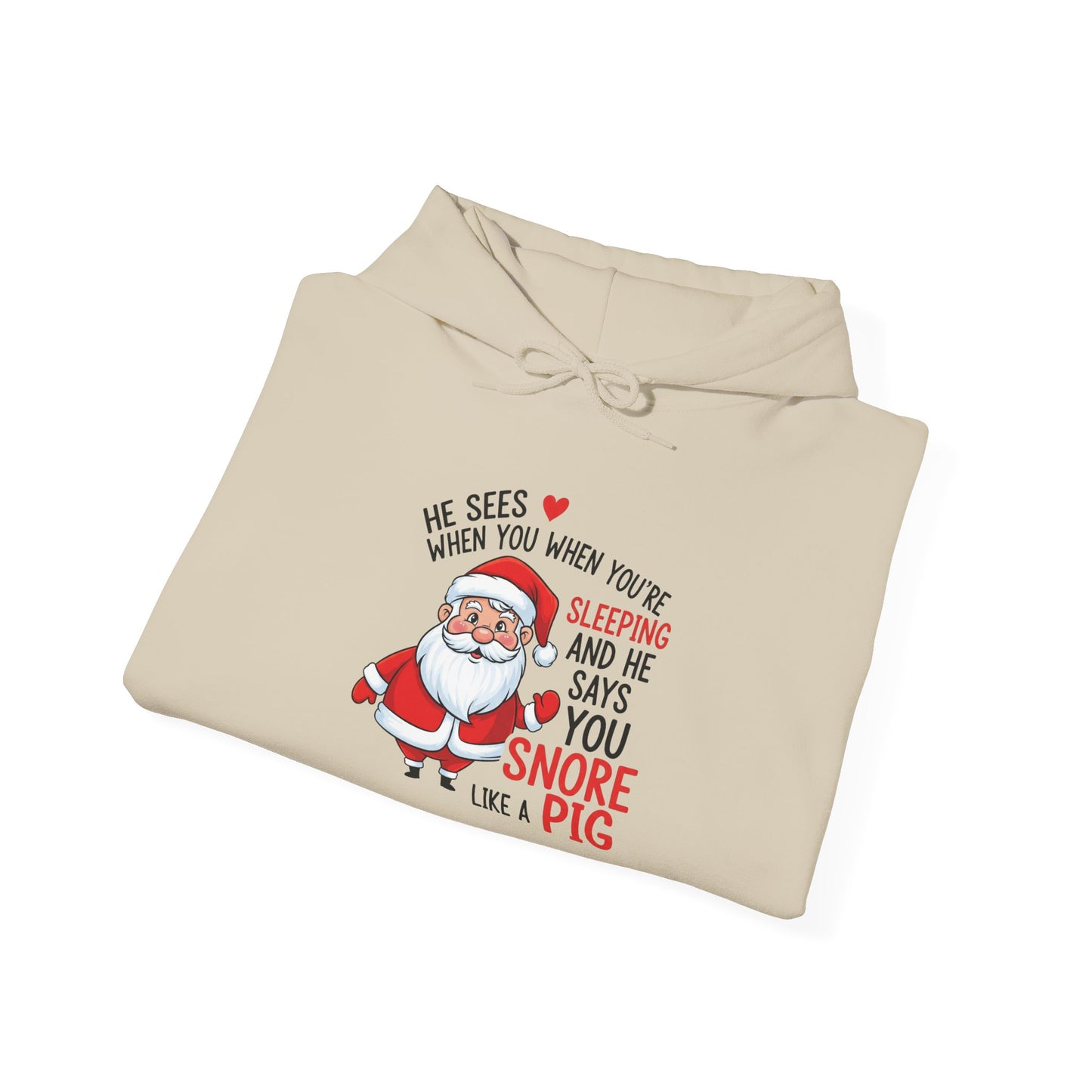 Funny Santa Hoodie He Sees When You are Sleeping and Says You Snore Like a Pig | Christmas Humor Hoodie | Cozy Unisex Holiday Sweatshirt