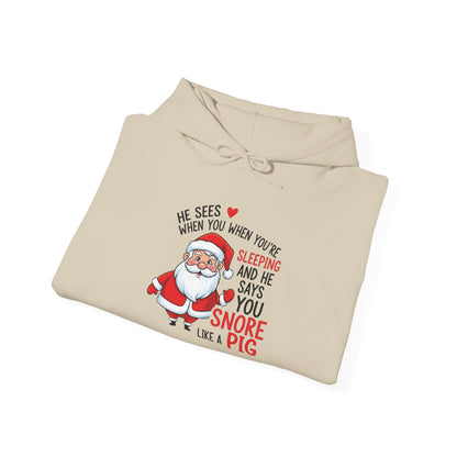 Funny Santa Hoodie He Sees When You are Sleeping and Says You Snore Like a Pig | Christmas Humor Hoodie | Cozy Unisex Holiday Sweatshirt