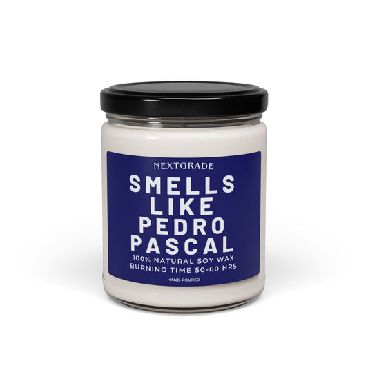 Smells Like Pedro Pascal Candle - Scented Candle - Celebrity Prayer Candle, Pedro Worship Candle, Gift for Her
