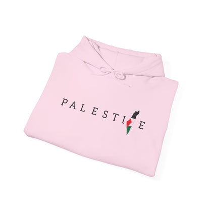Free Palestine Heavy Blend Sweatshirt Hoodie , Warm Apparel, Statement Clothing, Gift for Activists, Stand With Palestine, Gaza College