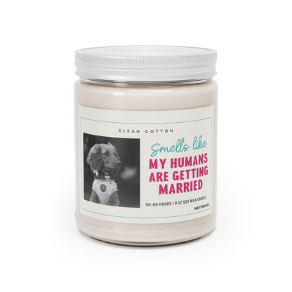Soy Candle, Wedding Celebration Scented Candle with Clean Cotton Fragrance, Dog Lover Gift, Home Decor, Engagement Party Favor, White Lid