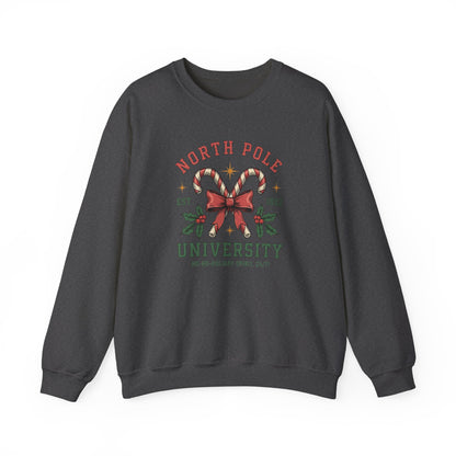 North Pole University Christmas Sweatshirt Candy Cane College Crewneck, Cute Christmas Sweater for Women, Cozy Winter Sweatshirt